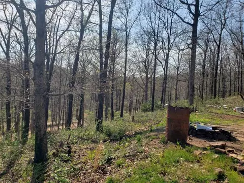 15562 Low Gap Rd, West Fork, AR 72774 photo 9