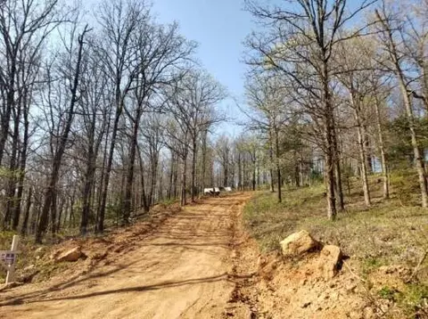15562 Low Gap Rd, West Fork, AR 72774 photo 3