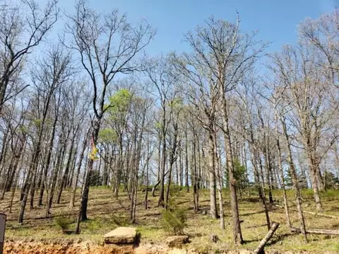 15562 Low Gap Rd, West Fork, AR 72774 photo 8