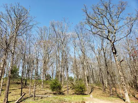15562 Low Gap Rd, West Fork, AR 72774 photo 6