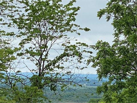 21 Summit Dr, Holiday Island, AR 72631