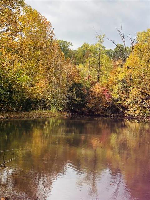 384 Dare Ln, Noel, MO 64854 photo 3