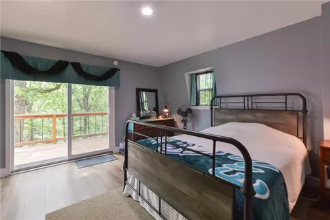 438 Line Ridge Rd, Lampe, MO 65681 photo 12