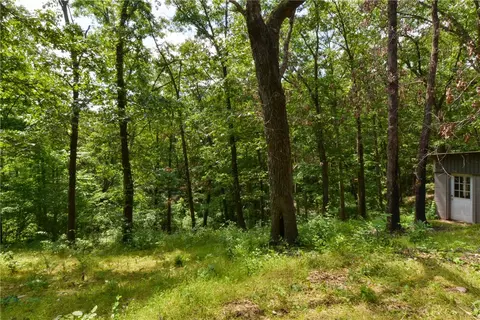 438 Line Ridge Rd, Lampe, MO 65681 photo 27