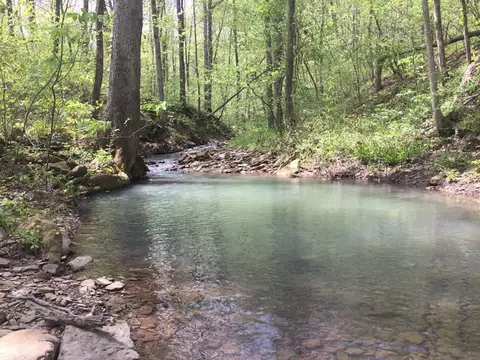 762 Madison 4384, Combs, AR 72721 photo 6