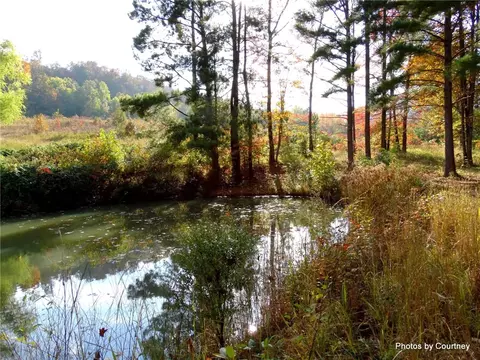 762 Madison 4384, Combs, AR 72721 photo 9