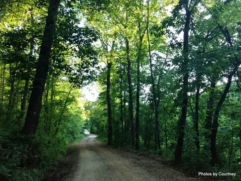 762 Madison 4384, Combs, AR 72721 photo 23