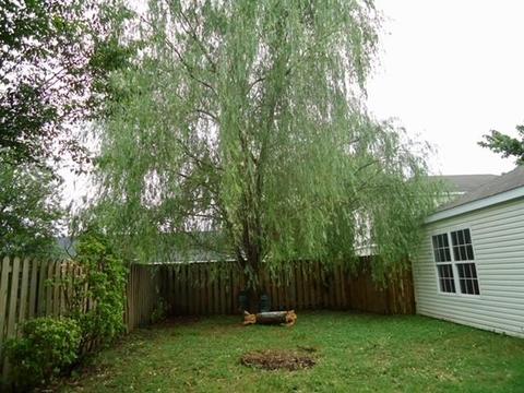 2901 Commons Ave, Springdale, AR 72764 photo 16