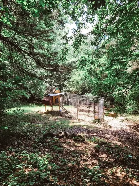 18611 Eagle Bend Ln, Springdale, AR 72764 photo 21