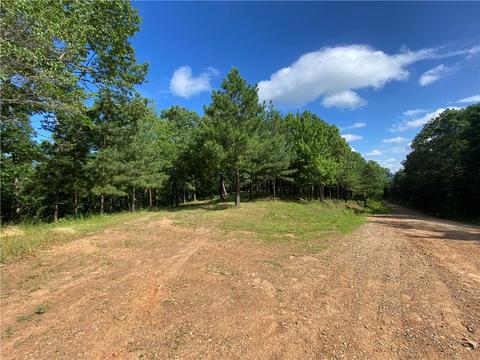 3020 Madison 5445, Combs, AR 72721 photo 11