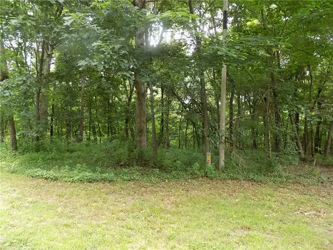 21615 Mackey Ln, Gentry, AR 72734 photo 27