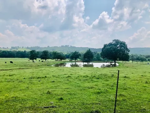16951 Dripping Springs Rd, West Fork, AR 72774 photo 29