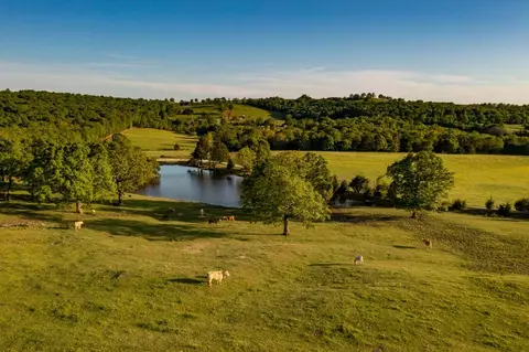 16951 Dripping Springs Rd, West Fork, AR 72774 photo 19