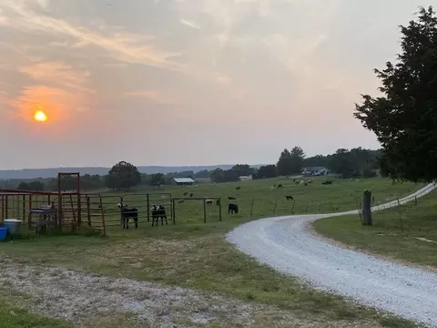16951 Dripping Springs Rd, West Fork, AR 72774 photo 30