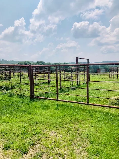 16951 Dripping Springs Rd, West Fork, AR 72774 photo 27