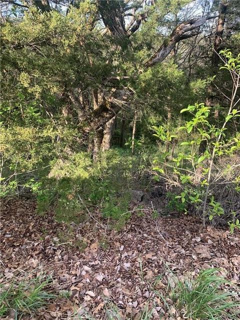 4 Beaver Drive # lot 6, block, Holiday Island, AR 72631