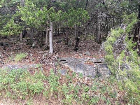 106 Appaloosa Dr #117, Holiday Island, AR 72631