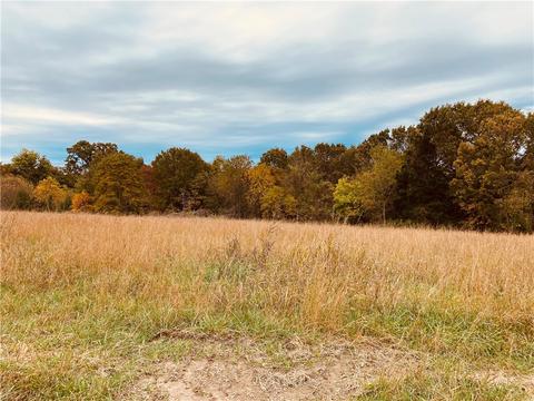 lot S 38-54 Hidden Forest Subdivision, Avoca, AR 72711