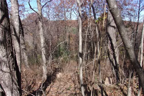 tbd Devils Den Rd, Winslow, AR 72959 photo 7