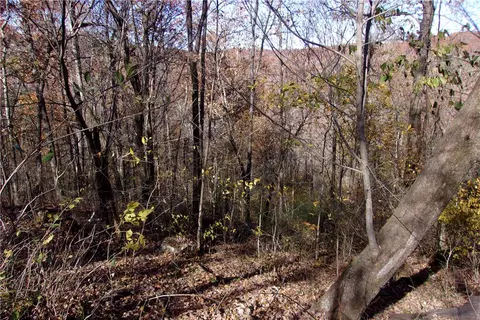 tbd Devils Den Rd, Winslow, AR 72959 photo 6