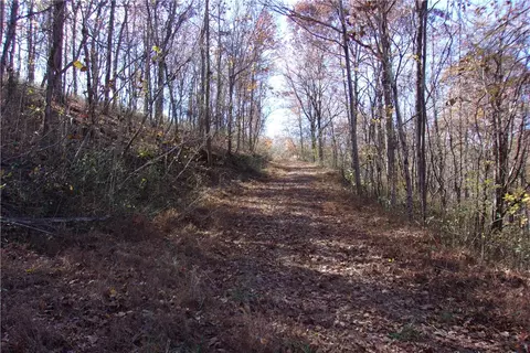 tbd Devils Den Rd, Winslow, AR 72959 photo 1