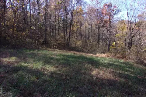 tbd Devils Den Rd, Winslow, AR 72959 photo 3