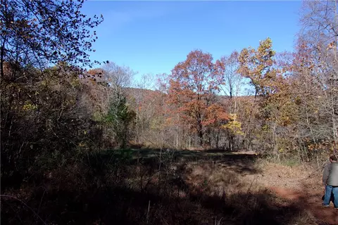 tbd Devils Den Rd, Winslow, AR 72959 photo 9