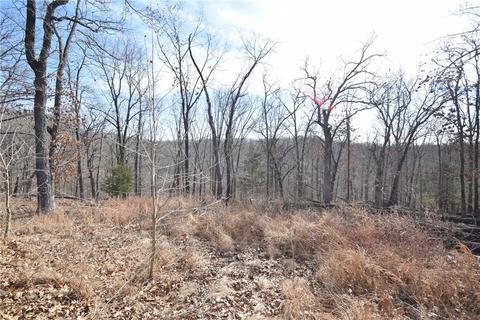 16501 Tomahawk, Rogers, AR 72756 photo 20