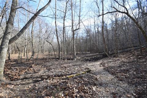16501 Tomahawk, Rogers, AR 72756 photo 27