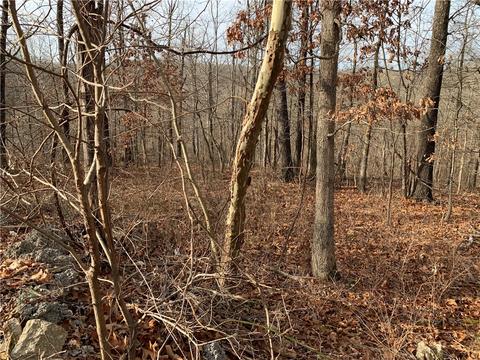 Pylle Lane, Bella Vista, AR 72715