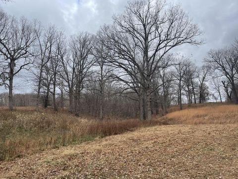 39439 County Road 559, Eucha, OK 74342 photo 21