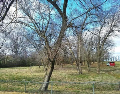1232 W Stultz Rd, Springdale, AR 72764 photo 2
