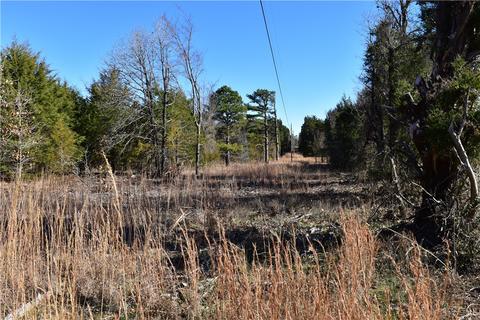 tbd Anice Rd, Charleston, AR 72933 photo 2