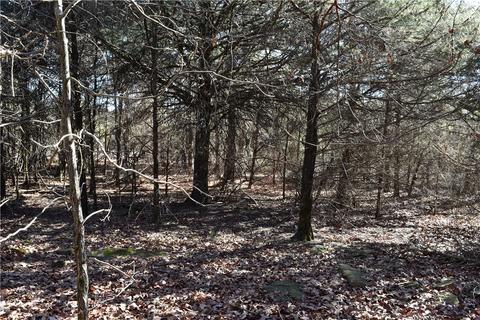 tbd Anice Rd, Charleston, AR 72933 photo 8