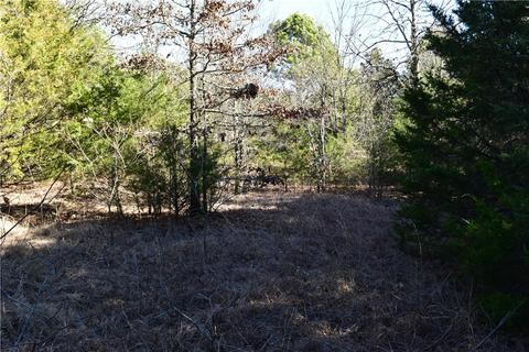tbd Anice Rd, Charleston, AR 72933 photo 9