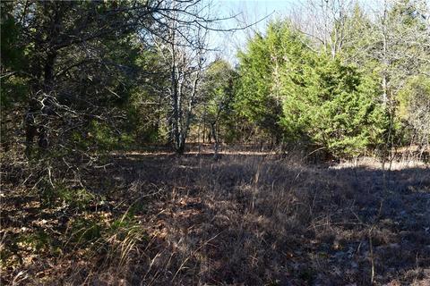 tbd Anice Rd, Charleston, AR 72933 photo 10