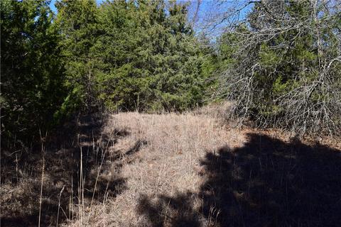 tbd Anice Rd, Charleston, AR 72933 photo 3