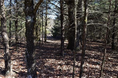 tbd Anice Rd, Charleston, AR 72933 photo 7