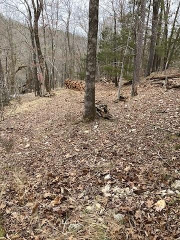 South Armstrong, Eureka Springs, AR 72632