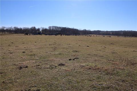 11668 Schuster Loop, Springdale, AR 72762 photo 4