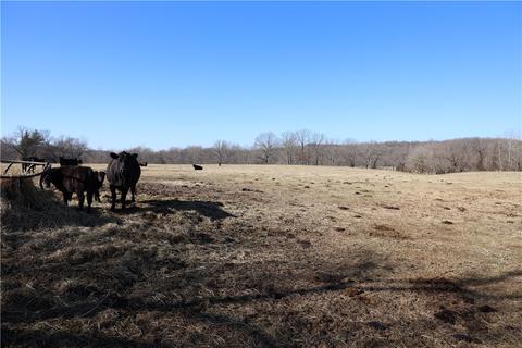 11668 Schuster Loop, Springdale, AR 72762 photo 3