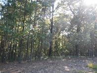 374 County Road 1160, Eureka Springs, AR 72631