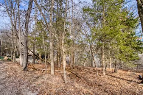 69 E Bluff Rd, Eureka Springs, AR 72631 photo 27