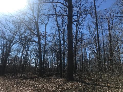 tbd Forest Rd, Gravette, AR 72736 photo 6