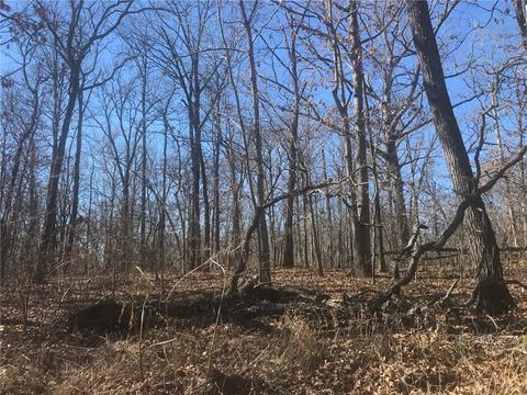 tbd Forest Rd, Gravette, AR 72736 photo 3