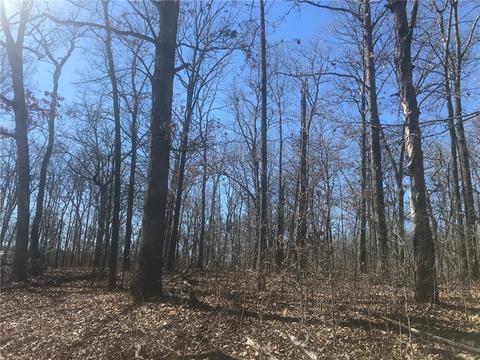 tbd Forest Rd, Gravette, AR 72736 photo 5