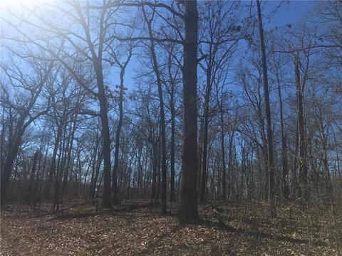 tbd Forest Rd, Gravette, AR 72736 photo 7