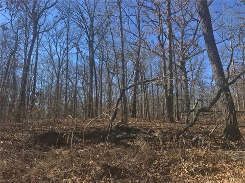 tbd Forest Rd, Gravette, AR 72736 photo 4