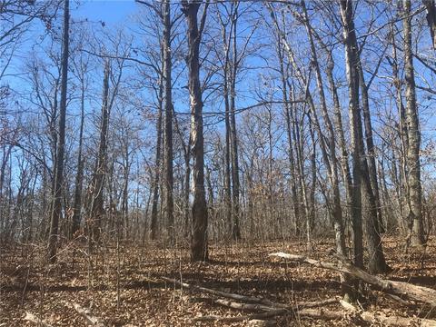 tbd Forest Rd, Gravette, AR 72736 photo 1