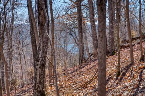 Hillcrest Road, Eureka Springs, AR 72631